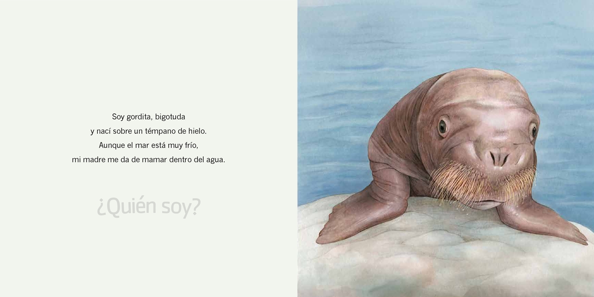 ¿Quién soy? Crías de animales. Tierras Polares