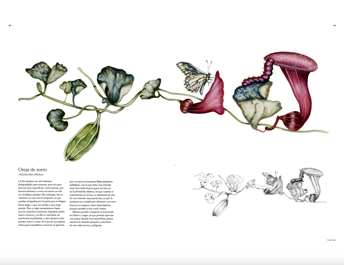 Viaje natural. Un encuentro entre el arte y la ciencia
