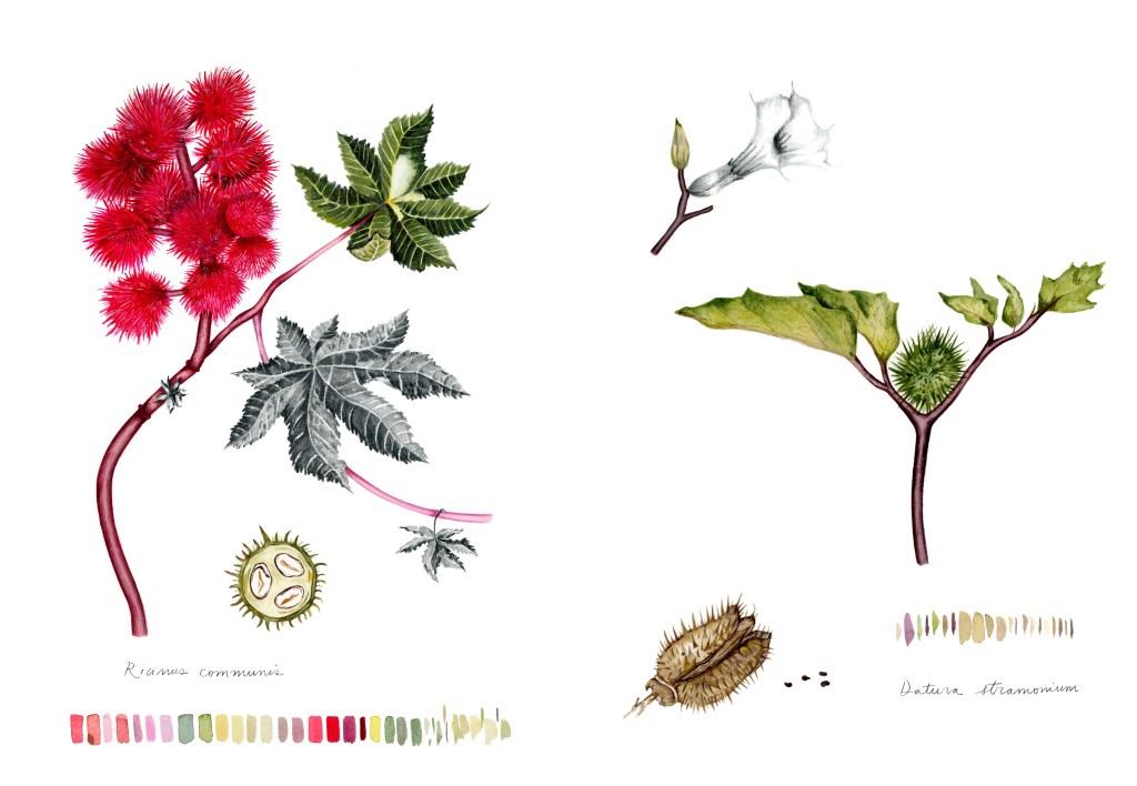 Viaje natural. Un encuentro entre el arte y la ciencia