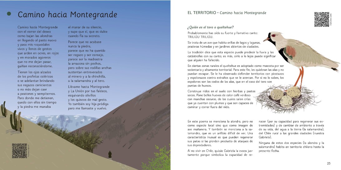 Los territorios de Gabriela